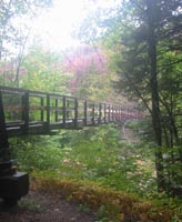The Wilderness Trail bridge