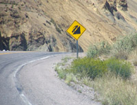 Steep roads on the route to Penitentes
