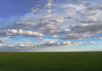 Endless Oklahoma fields