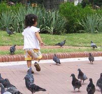 Chasing pigeons at Plaza de Mayo