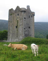 Gleninagh Castle