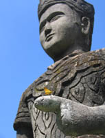 Butterfly at Xieng Khuan (Buddha Park)