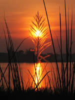 Sunset over the Mekong