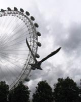 The London Eye