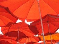 Umbrellas at a cafe in Madrid