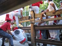 A runner is pulled out of the path of the bulls