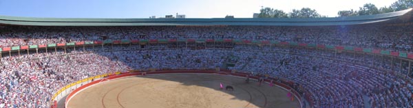 Packed arena for the daily bullfights