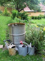 Garden at the Izo summer cottage