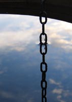 Chain and fly, reflected in a water barrel