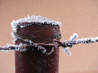 Frosted fencepost in Bojnice
