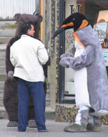 Wildlife of the Ushuaia tourist district